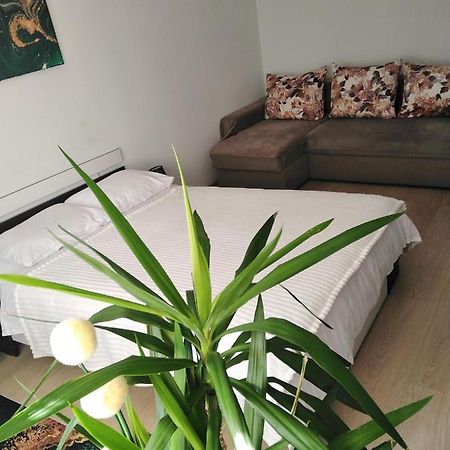 Garsoniera Rebecca Apartment Tirgu Ocna Bagian luar foto