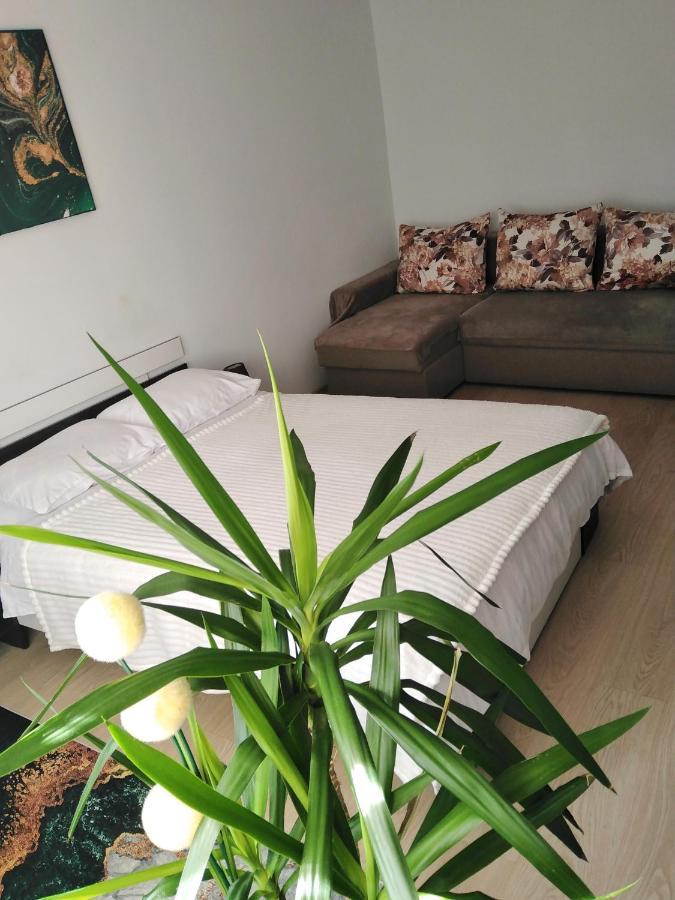 Garsoniera Rebecca Apartment Tirgu Ocna Bagian luar foto