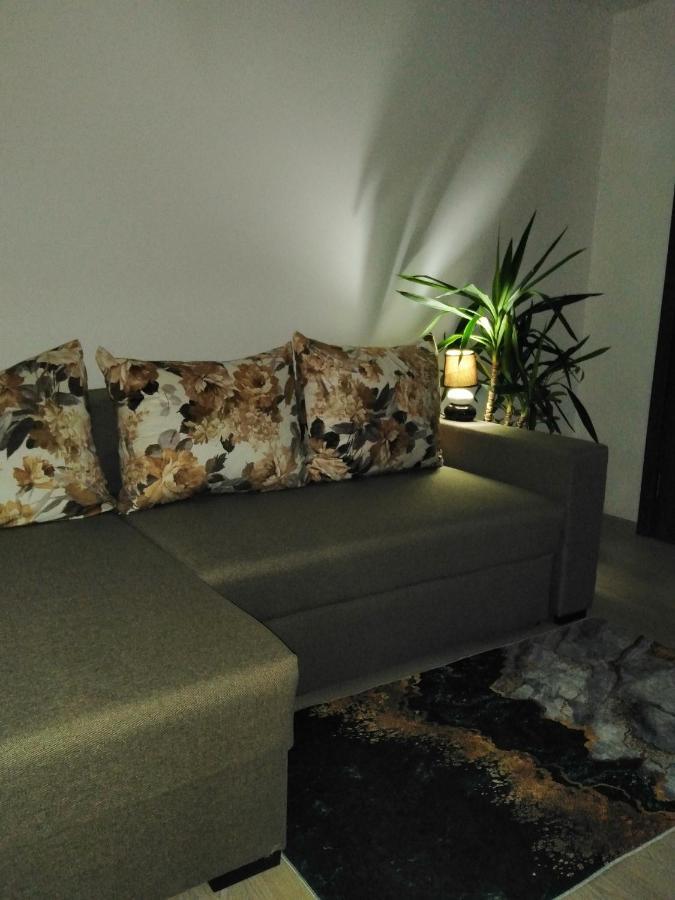 Garsoniera Rebecca Apartment Tirgu Ocna Bagian luar foto