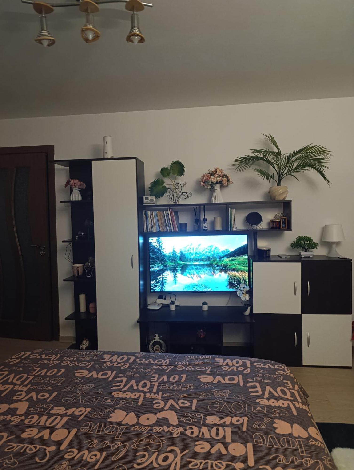 Garsoniera Rebecca Apartment Tirgu Ocna Bagian luar foto